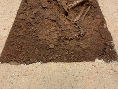 -世界恐龙谷景区