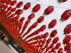 -龙口南山旅游景区