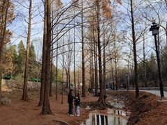 -白水寺森林公园