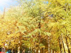 -辽宁大学(崇山校区)