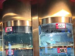 -蜀滋香鲜鱼美蛙火锅(339店)