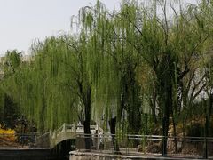 -黄村公园