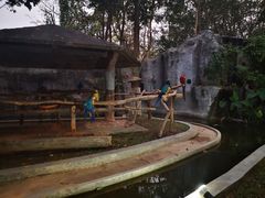 -清迈夜间动物园