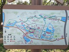 -丹樱生态园