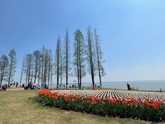 -上海美帆帆船露营基地