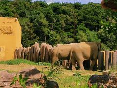 -沈阳森林动物园