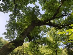 -宁波市保国寺古建筑博物馆