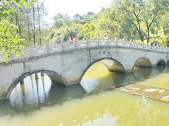 -云溪植物园