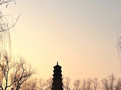 -祥源·阜阳生态乐园