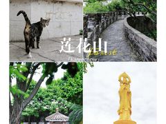 -广州莲花山旅游区