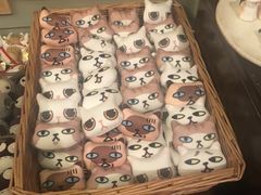 -猫咪博物馆(顶澳仔猫街店)