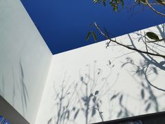 -紫马岭公园