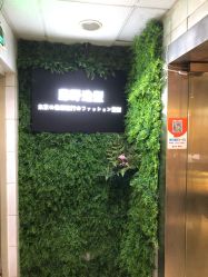 -藤野造型