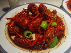 -杨氏青龙虾·羊蝎子(金盛路总店)
