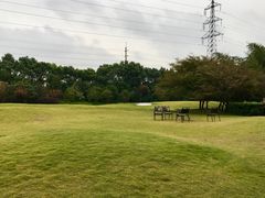 -上海唐朝酒店