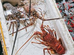 -霞涌市场海鲜摆卖区