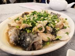 香葱淋鲈鱼-粤·向群饭店(龙津东路总店)