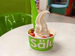 -Salud撒露欧洲冻酸奶(五道口购物中心店)