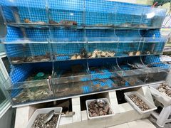 -宾朋海鲜特色美食餐厅·纯手工鲅鱼水饺(兴海路店)