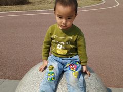 -丁香湖公园