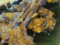 烤鸭下巴-土蚝·高压锅生蚝(百姓美食街店)