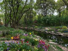 -上海共青森林公园