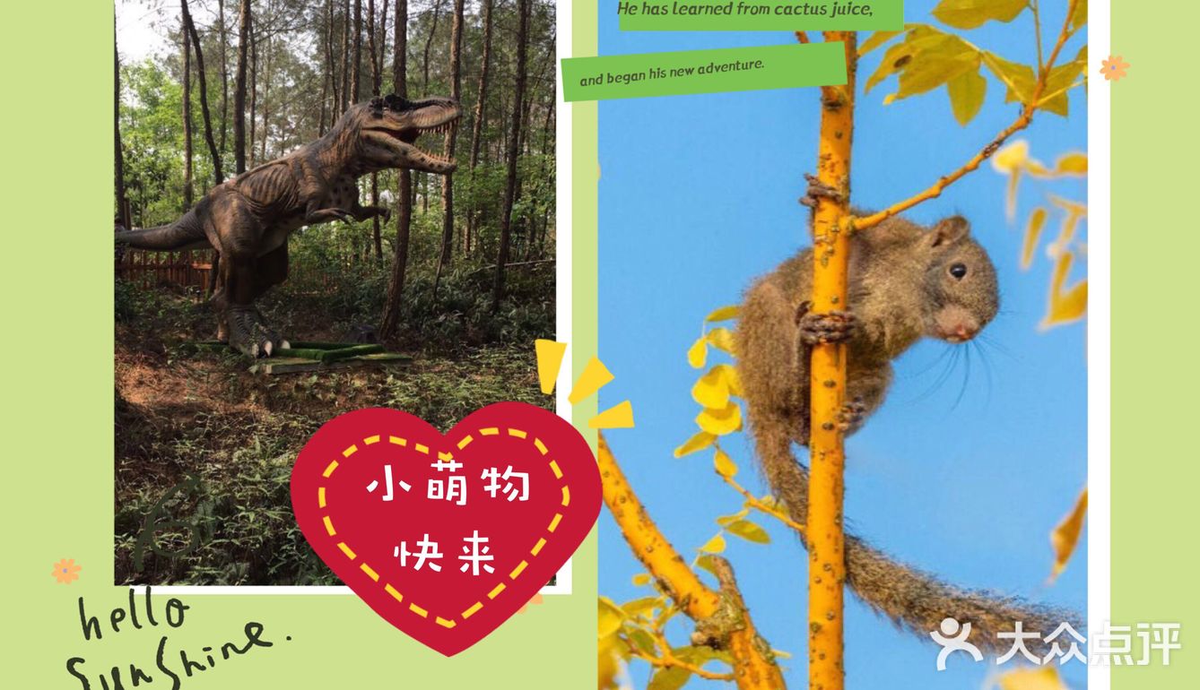 小萌娃和小萌宠的爱心集合