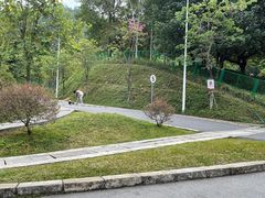 -火炉山森林公园