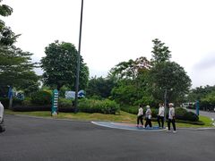 -森波拉奇妙世界