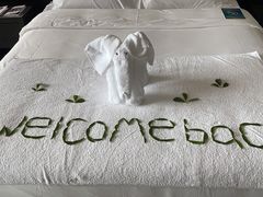 -三亚湾海居铂尔曼度假酒店