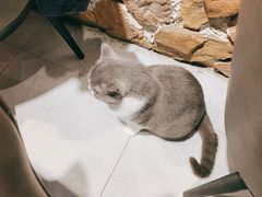 -犇牛记·鲜牛肉火锅
