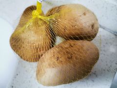 -百果园PAGODA(应元路店)