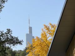 -北极阁公园
