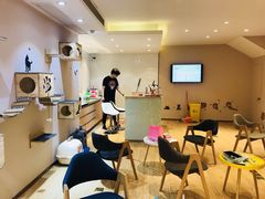 -Pets First伊珊娜洗护·精致美容·家庭式寄养(新会路店)