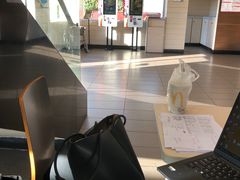 -麦当劳(长乐西洋南路得来速店)