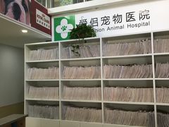 -爱侣宠医·鹦鹉专科·小型哺乳类·异宠专科(灵石路店)