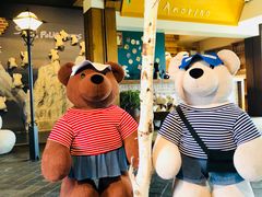 -济州岛泰迪熊博物馆