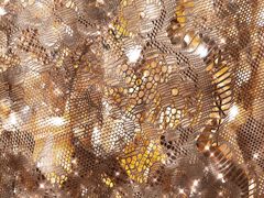 大堂-Social club seoul