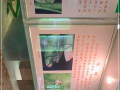 -上海昆虫博物馆