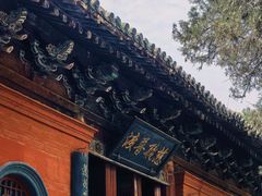 -洛阳白马寺