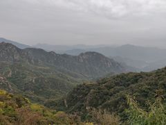 -大岭沟猕猴桃谷风景区