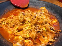 -红辣椒八爪鱼特色韩国料理