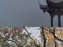 -老门东历史文化街区