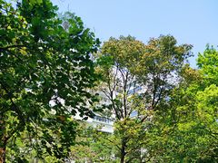 -香港大学