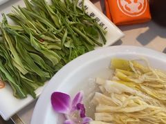 -大熊猫毛肚火锅(烟台万象汇店)