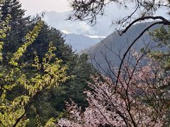 -罗田天堂寨风景区