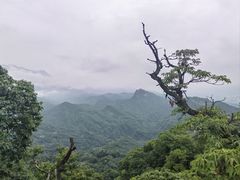 -青城山