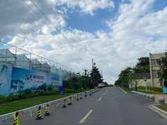 -南京老山国家森林公园