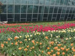 -石家庄市植物园