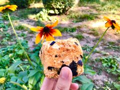 肉松小贝-北京稻香村(五道口店)